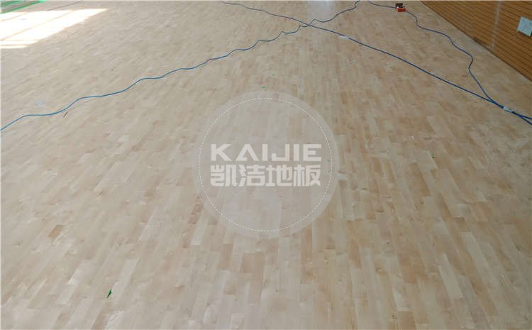 山東濱州中學體育館運動木地板圖片